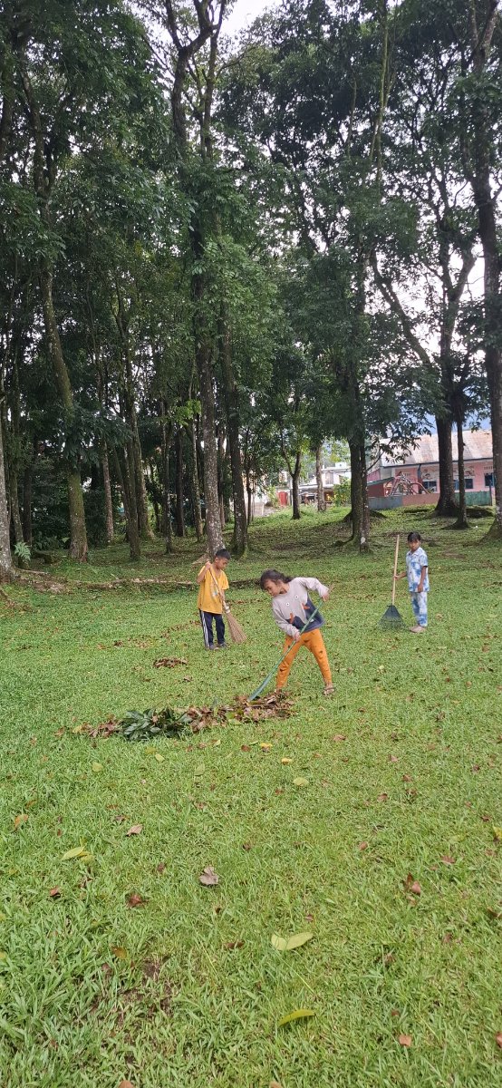 Pokja Taman